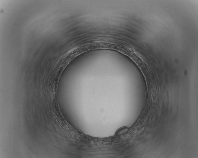 X0000090470821200707131016