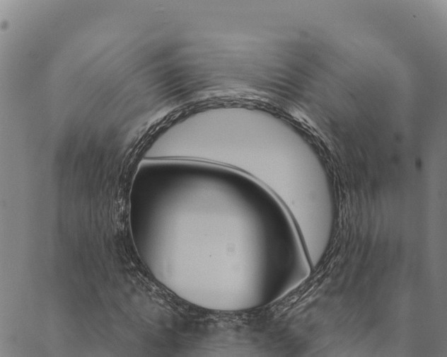 X0000090470822200707131016