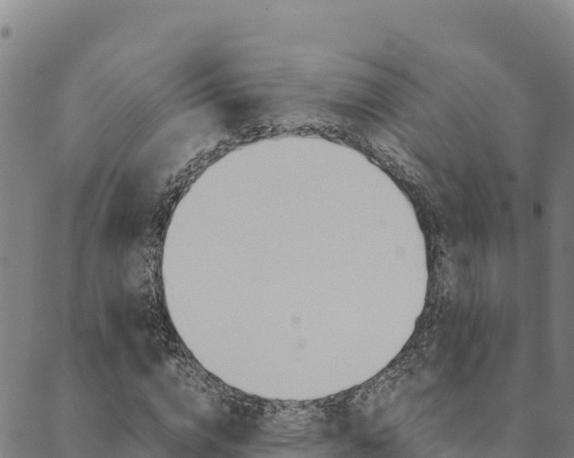 X0000090470824200707131016