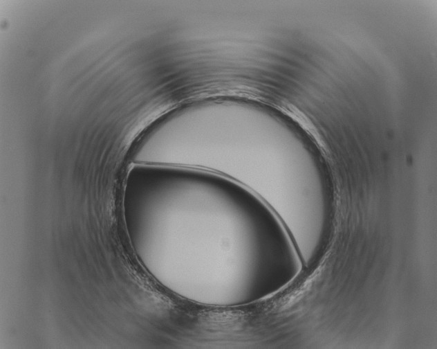 X0000090470826200707131016