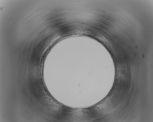 X0000090470828200707131016