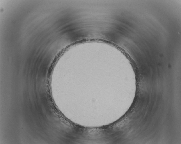 X0000090470832200707131016