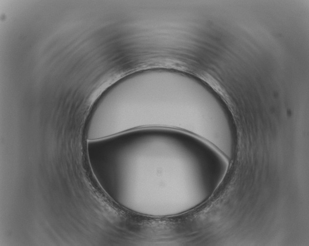 X0000090470834200707131016
