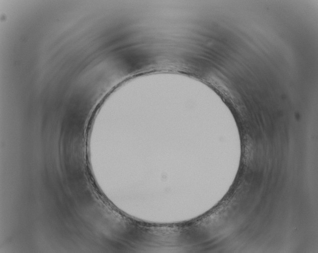 X0000090470836200707131016