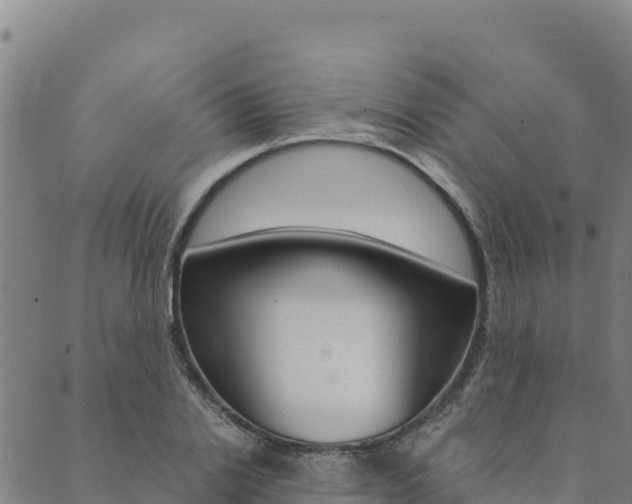 X0000090470838200707131016