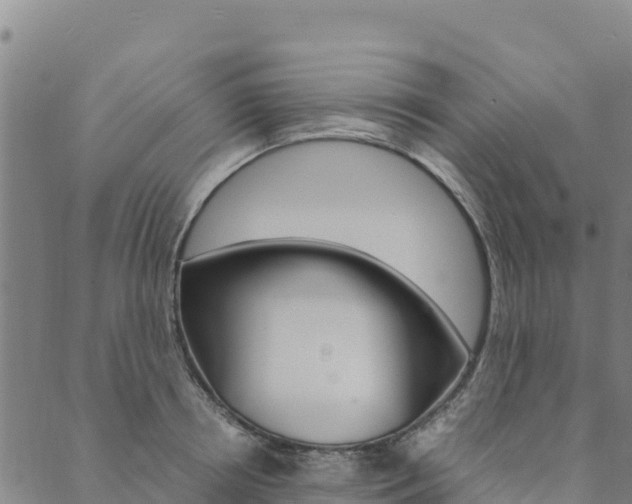 X0000090470850200707131017