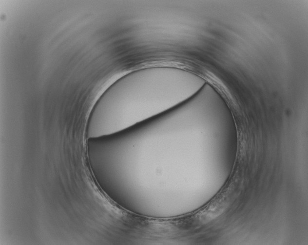 X0000090470852200707131017