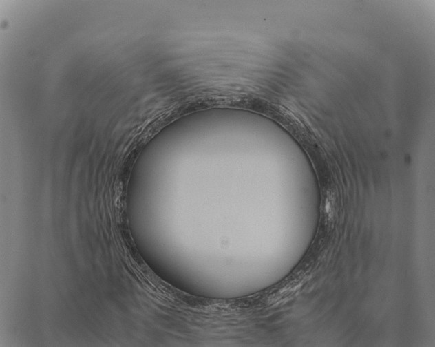 X0000090470867200707131016