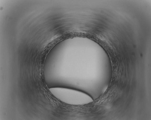 X0000090470870200707131016
