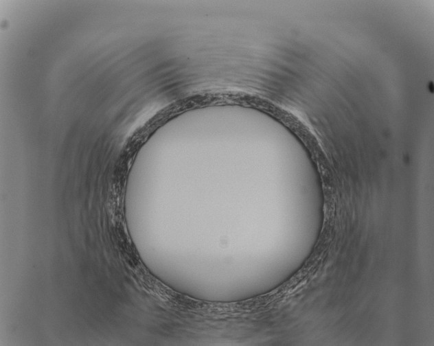 X0000090470871200707131016