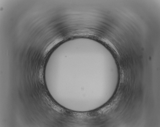 X0000090470874200707131016