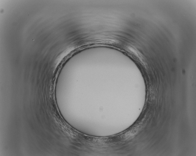 X0000090470875200707131016