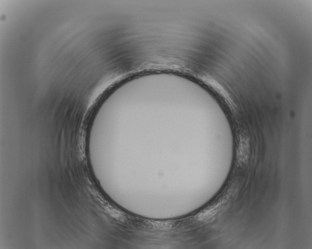 X0000090470878200707131016