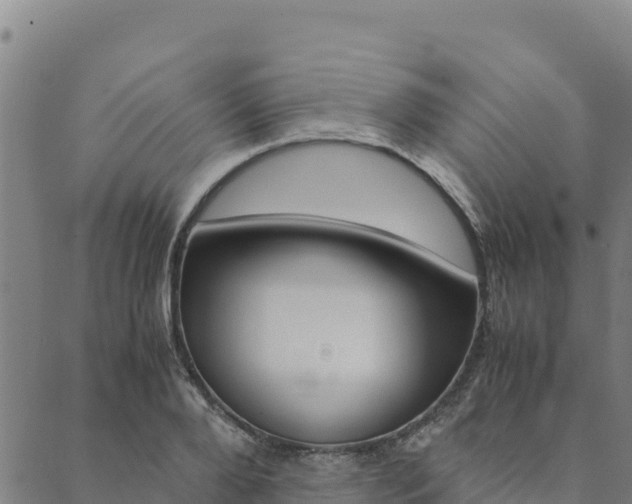 X0000090470888200707131016