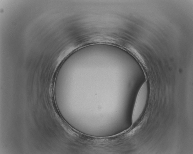 X0000090470893200707131016