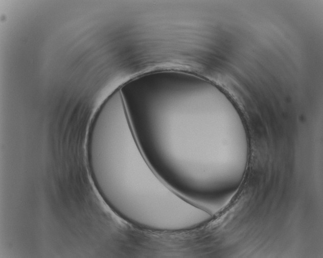 X0000090470902200707131015