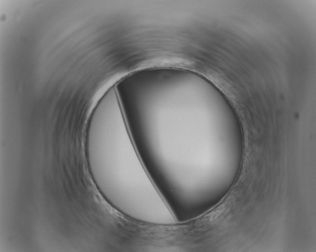 X0000090470912200707131015