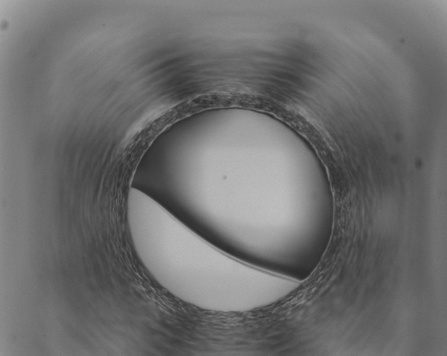 X0000090470919200707131015