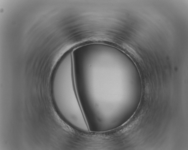 X0000090470934200707131015