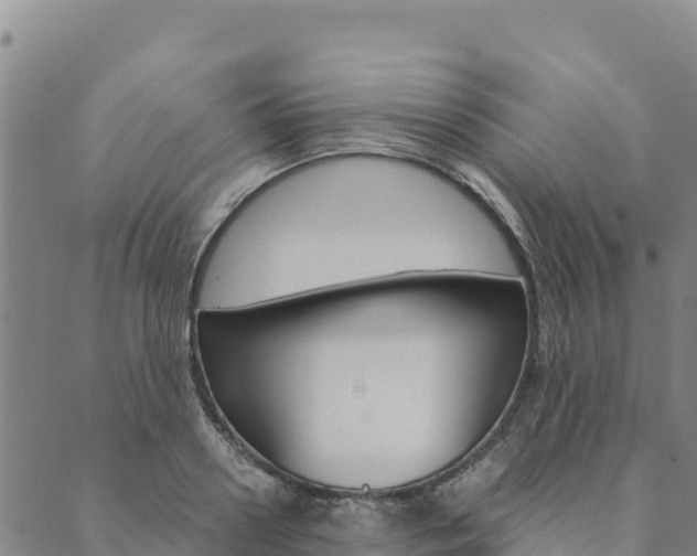 X0000090470938200707131015