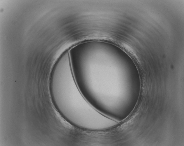 X0000090470942200707131015