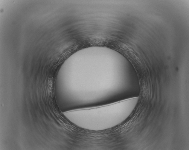 X0000090470964200707131014