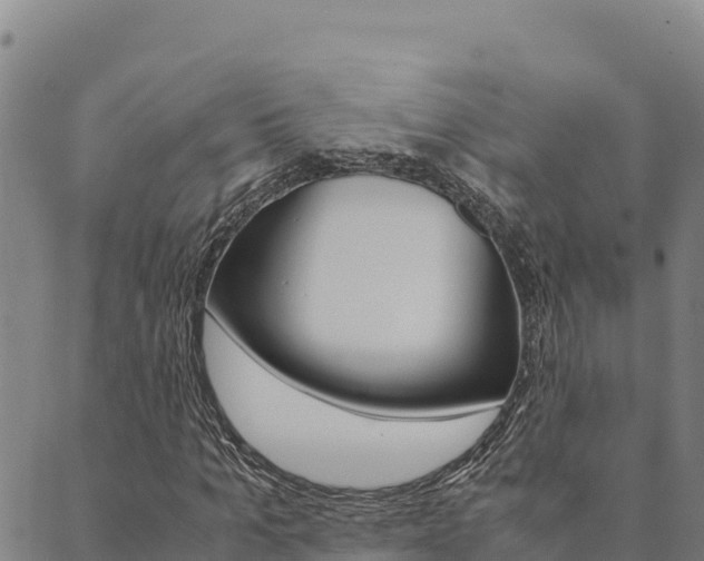 X0000090470965200707131014