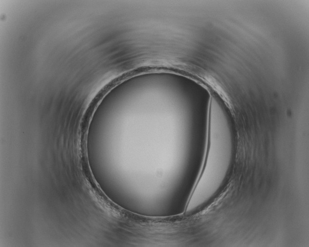 X0000090470976200707131014