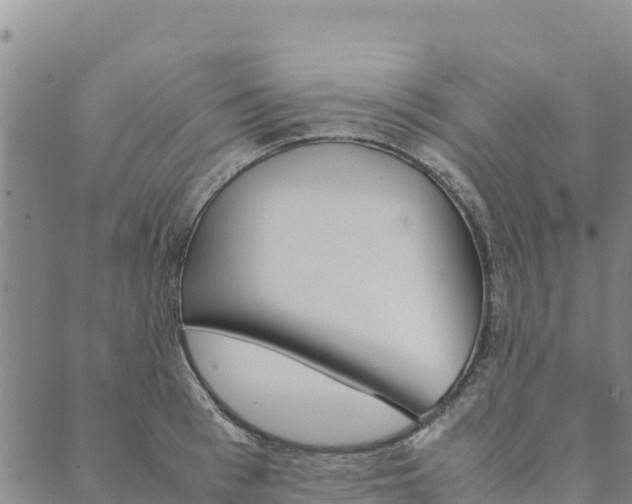 X0000090470993200707131014