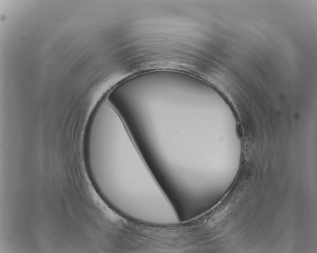 X0000090470995200707131014