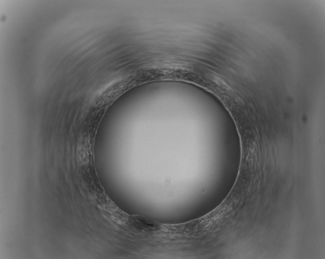 X0000090471014200707131013