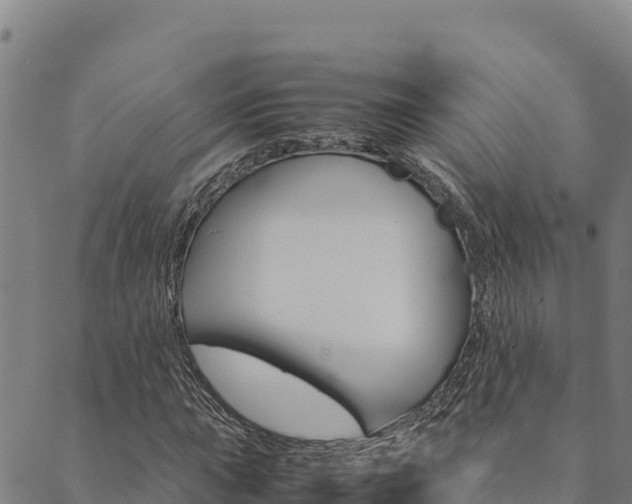 X0000090471015200707131013