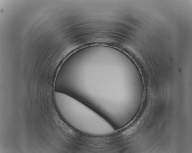 X0000090471025200707131013