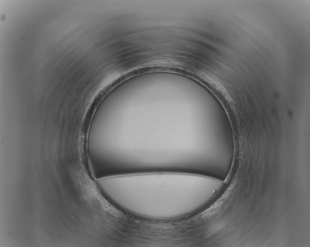 X0000090471029200707131013