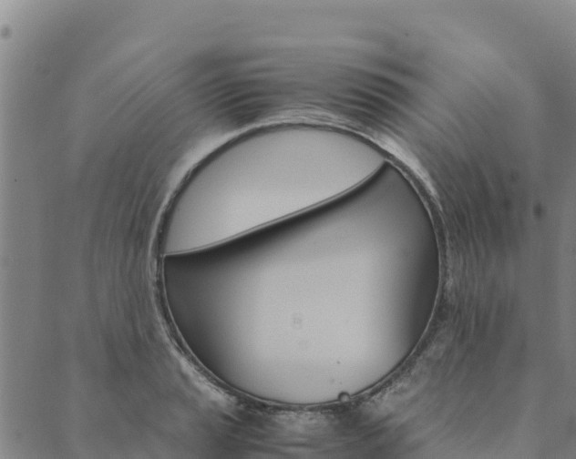X0000090471037200707131013