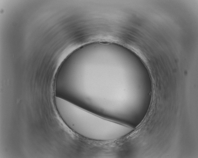 X0000090471056200707131014