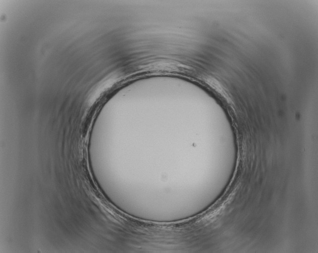 X0000090471067200707131013