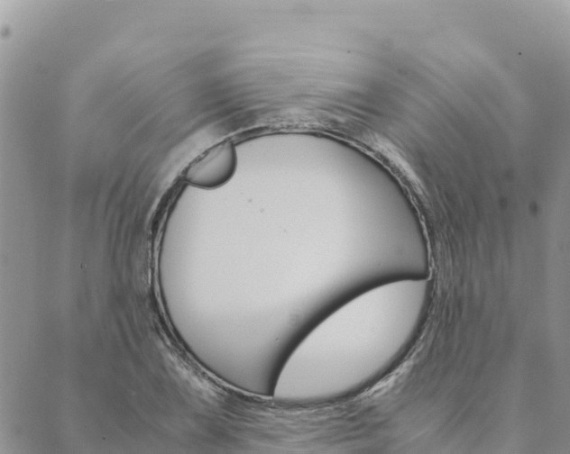 X0000090471075200707131013