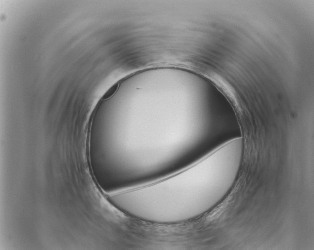 X0000090471102200707131012