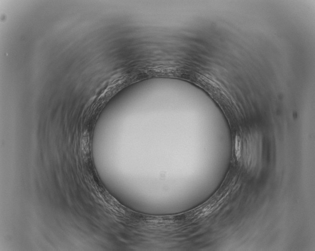 X0000090471107200707131011