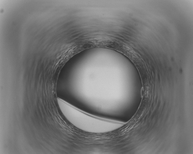 X0000090471108200707131011