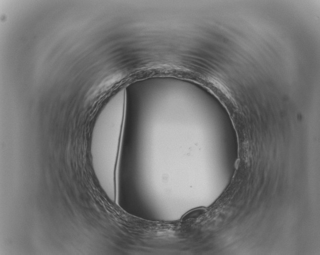 X0000090471111200707131011