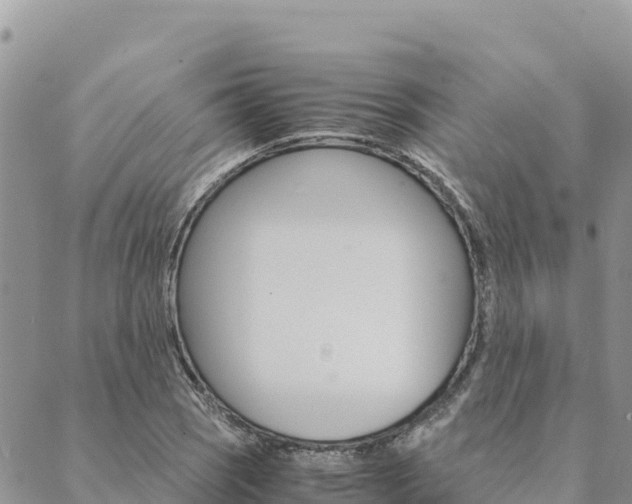 X0000090471121200707131012
