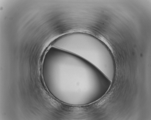 X0000090471124200707131012