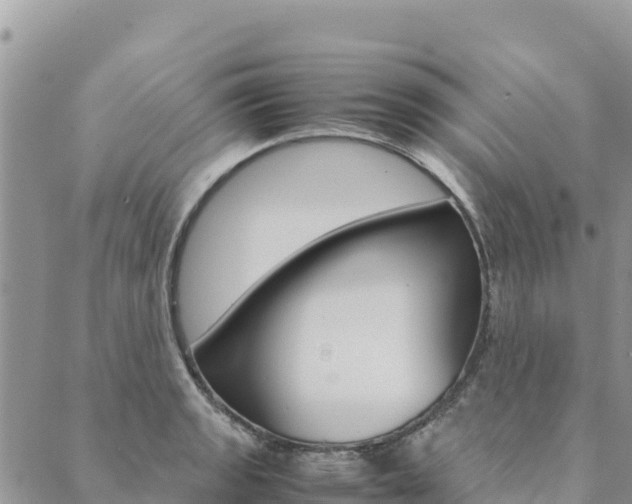 X0000090471133200707131012