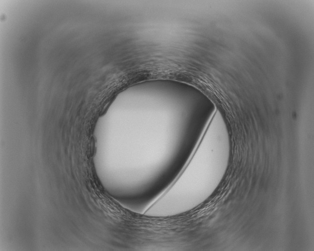 X0000090471153200707131011