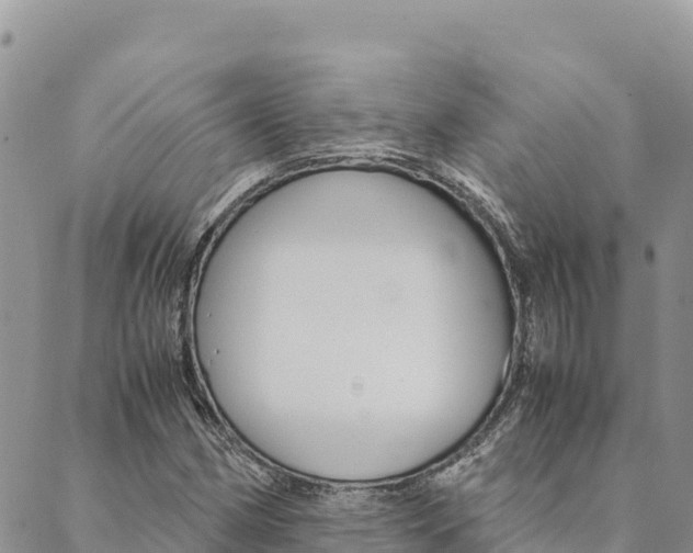X0000090471162200707131011