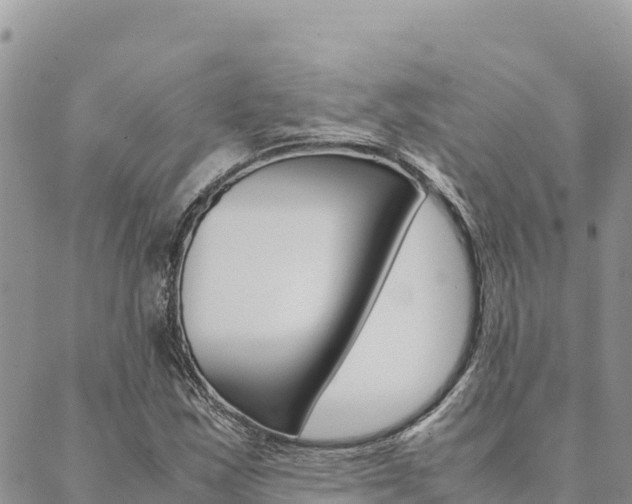 X0000090471163200707131011