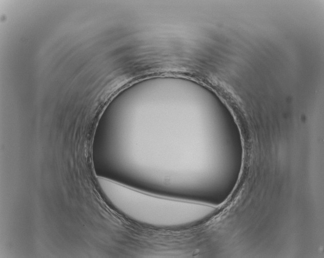 X0000090471169200707131011
