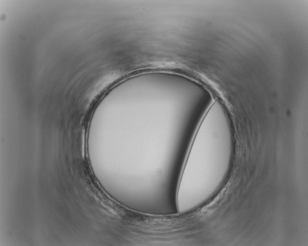 X0000090471171200707131011